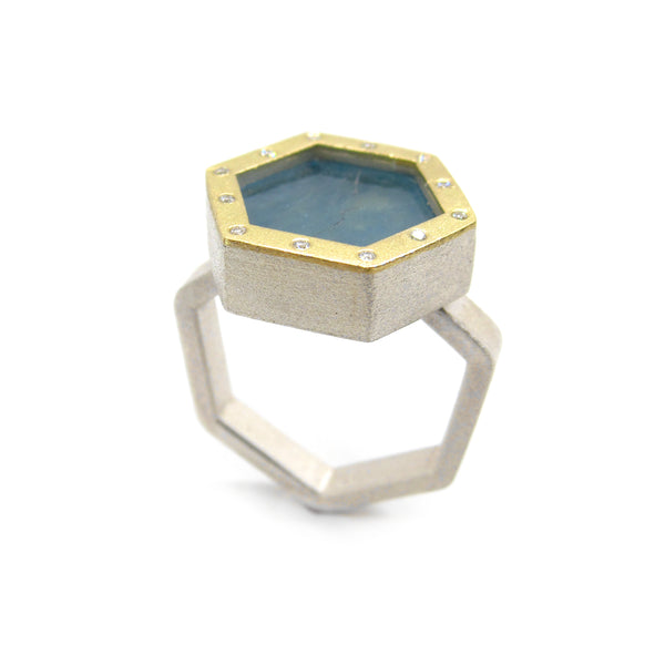 Aqua Pool Ring